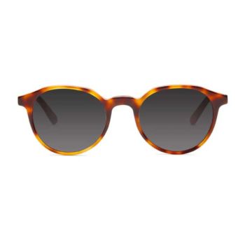 Barner Sunglasses Williamsburg Sun Havana - (492570)