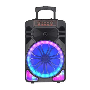 Portable Outdoor Party Karaoke Wireless Speaker | NDR-312