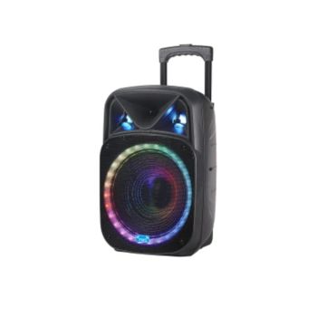 Professional Speaker 12" Outdoor Audio with Wireless Mic Battery System (NDR-W1312)