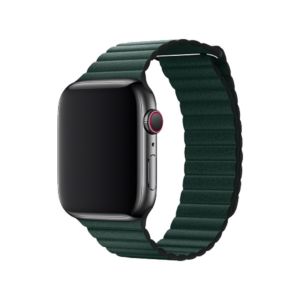 Coteetcl 40/41MM For Apple Watch Magnet - Pine Green (WH5205-GR)